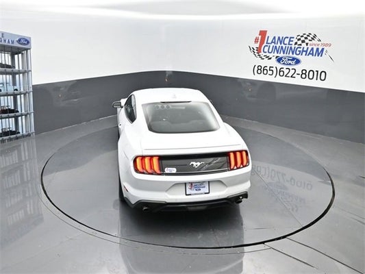 2023 Ford Mustang EcoBoost in Knoxville, TN - Gary Yeomans Ford Knoxville