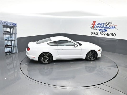 2023 Ford Mustang EcoBoost in Knoxville, TN - Gary Yeomans Ford Knoxville